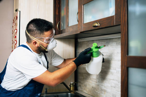 Best Commercial Pest Control Services  in Adamsville, TN