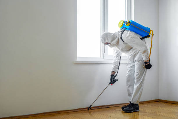 Professional Pest Control in Adamsville, TN
