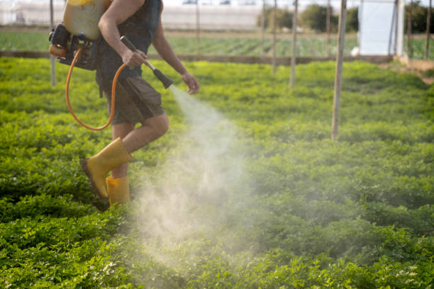 Best Ant Control Services  in Adamsville, TN