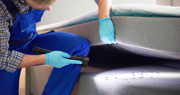 Best Affordable Pest Control Services  in Adamsville, TN