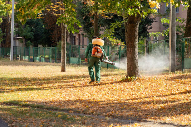 Best Mosquito Control Services  in Adamsville, TN