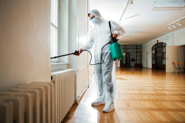 Best Best Pest Control Companies  in Adamsville, TN